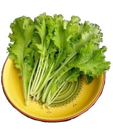 Fresh Saag Leaves Bunch | Single Bunch | Mustard Leaves | Sarso Ka Saag Leaf | Green leafy | Spinach | Broad leaves | Approx 200G - Buy Online on SooperMarket.com
