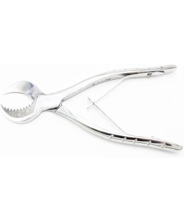 Dental Pliers Plaster Nippers Cutter - Cow Horn Jaws, Serrated Blade, Spring Action (Large) - Hbmol - Buy Online on SooperMarket.com