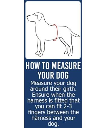 Anol/Pure Dog Listeners Stop Pulling Dog Training Harness & Lead Set - Large Size 7-8 (inc DVD) - Buy Online on SooperMarket.com