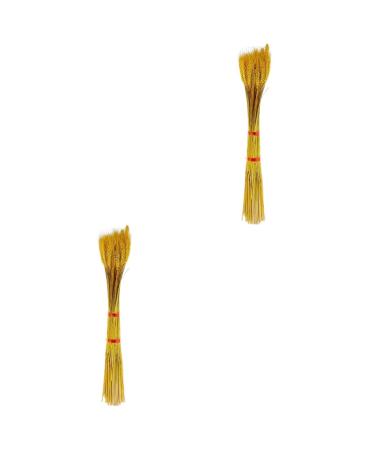 MAGICLULU 200 Pcs Dried Wheat Ears Bouquet Decor Wheat Stalk Natural Wheat Ear Dried Flowers Bouquet Dry Flowers Floral Arrangement Wheat Ear Wedding Wheat Ear Dried Flowers. Barley Props Yellowx2pcs 52X10CMx2pcs