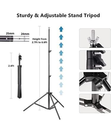 6.5x10ft Adjustable Backdrop Stand for Parties & Wedding Photography + 12 Balloons | ZBWW Photo Video Studio | Advertising Display - Buy Online on SooperMarket.com