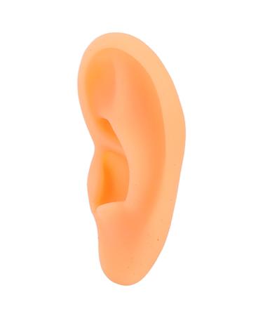 Ear Display Mould Waterproof Silicone Educational Professional Ear Model for Hospital(Right)
