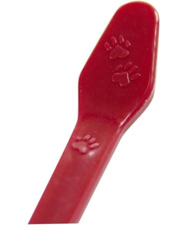 GANAZONO 6 Pcs Pet Toothbrush Toothpaste Super Bristles Toothbrush Kitten Toothbrush Dog Big Head Toothbrush - Buy Online on SooperMarket.com