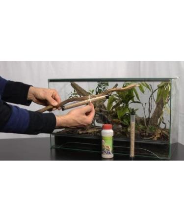M&S Reptiles TAURRUS XL Predatory Mites for Effective Mite Control (50 Animal Capacity) | International Shipping - Buy Online on SooperMarket.com