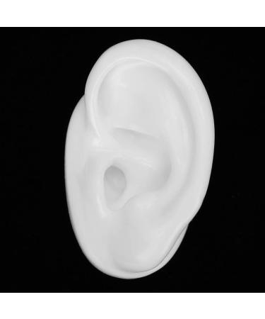 Silicone Ear Model - Realistic Artificial Ear for Hearing Aids Display & Ear Impression Exercise (Left Ear) - International Shipping - Buy Online on SooperMarket.com