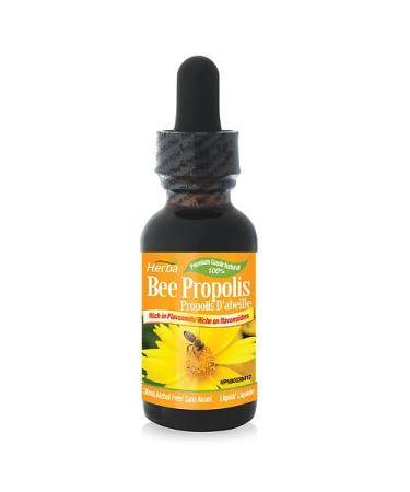 Herba Bee Propolis Liquid Drops 30ml - No Alcohol | Helps Relieve Sore Throats and Mouth Infections | Rich in Flavonoids | 100% Natural - Premium Grade | Made in Canada | Alcohol Free Liquid Drops
