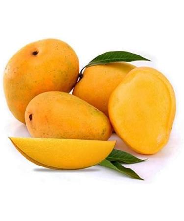 veenas Kesar Mango | 12 Units (App 4KG) |Juicy Mangoes |Fresh Mango Fruit | Natural Fruit | Summar Fruit | Indian Origin - Buy Online on SooperMarket.com