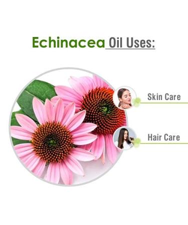 Pure Echinacea Oil 30ml | Natural Hair Care & Skin Care | Hydrate & Nourish - Buy Online on SooperMarket.com