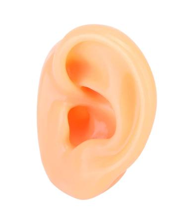 Ruiqas Human Ear Model Life Size Soft Silicone Simulation Left Ear Display Food Grade Soft Silicone for Teaching Aid Acupuncture Practice Jewelry Laboratory Collectibles Model (Complexion )
