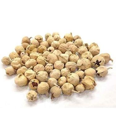 Nutranix eln Paneer Dodi Paneer Doda Withania Coagulans (900g) - Buy Online on SooperMarket.com