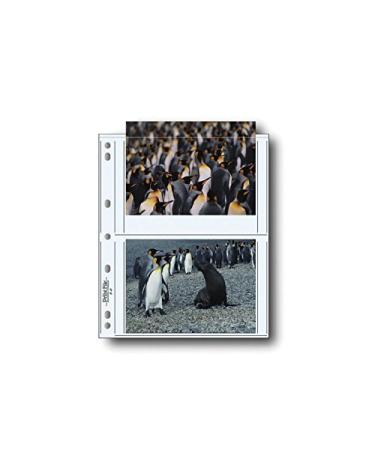 Print File Archival Storage Page for Prints or Postcards Pack of 100 - 060-0644