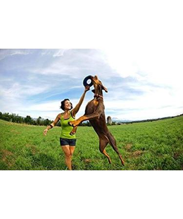 Chuckit! Zipflight Frisbee Dog Toy - Durable Fetch Toy for Dogs | Medium Size - Buy Online on SooperMarket.com