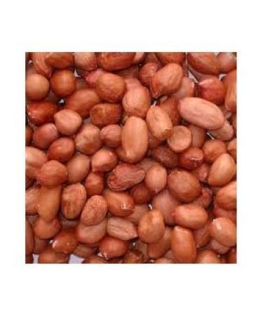 5kg bag wild bird peanuts FREE Express delivery