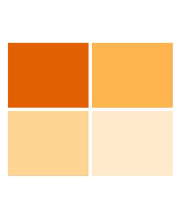 Meking 16x20 inches Lighting Gels CTO Photo Lights Gel Filters Transparent Color Correction Light Sheets for Photography Red Head Strobe Flashlight (Orange)