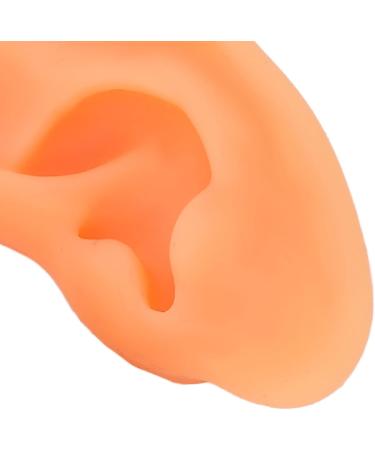 Kadimendium Human Ear Acupuncture Model - 2 Pieces for Training - Buy Online on SooperMarket.com