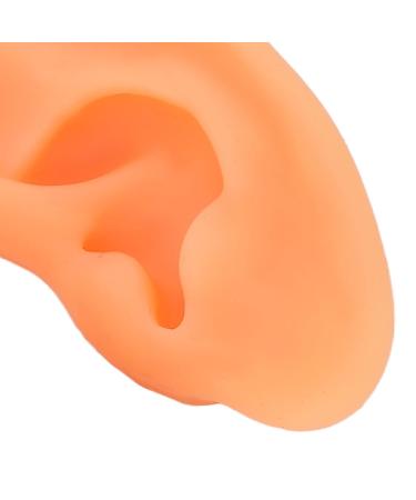 Ear Model ANGGREK 2 Pieces Ear Modeling Tools Hearing Amplifier Dispalying Assistance Display Ear Model Ear Wraps for Teaching Replacement - Buy Online on SooperMarket.com