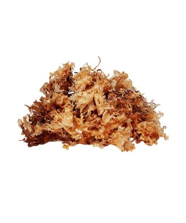 Buy Boosy Organic Irish Moss 50g - Sustainable Atlantic Seaweed for Raw Food Quality | Chondrus Crispus Algae - Buy Online on SooperMarket.com