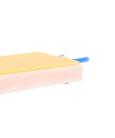 Reusable Venipuncture & Injection Training Pad for Students - Multipurpose Model - Buy Online on SooperMarket.com