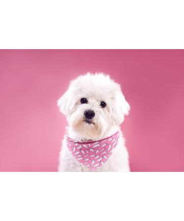 Lionet Paws Halloween Dog Bandana - Triangular Scarf for Small Medium & Large Dogs - Ghost Design (Pack of 1) - Buy Online on SooperMarket.com