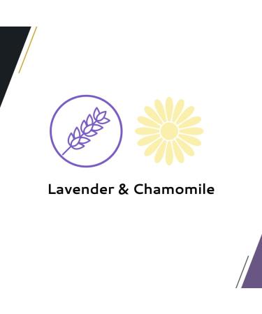 Wahl Canada No Rinse Shampoo for Cats Calming Formula Shampoo in Lavender Chamomile Freshens and Conditions the Coat Waterless Shampoo Foam Dispenser 210ml model 58300 - Buy Online on SooperMarket.com