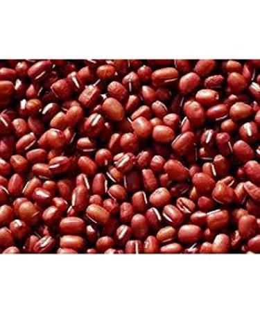 Germinazione I Semi: 250 + Semi: zuppa di Fagioli: Fagioli Small Red Soup Seme Fresco di Trasporto