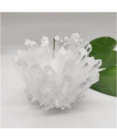 Home Decor 1pcs Natural Raw Quartz White Clear Crystal Cluster Stones Crystal Point Specimen Home Decoration Raw Crystals Mi Soothing Crystal Household Crystal Cluster (Size : 600-700g) - Buy Online on SooperMarket.com