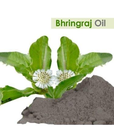 100% Pure Salvia Bhringraj Oil - Undiluted Cold Pressed - Therapeutic Grade Aromatherapy & Skin Care Oil (3.38 Fl Oz - Buy Online on SooperMarket.com
