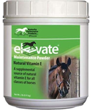 Kentucky Performance Prod 044097 Elevate Maintenance Powder Supplement for Horses, 2 lb