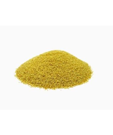 Amaranth Grains/plantSeeds (Rajagro)