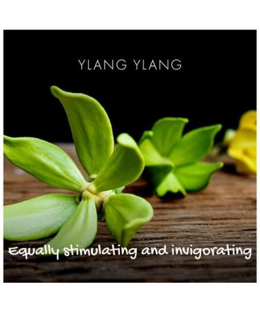 Natural Ylang Ylang Bath Soap 3.35 oz | Luxurious Aromatic Skincare for All Skin Types | International Shipping Available - Buy Online on SooperMarket.com