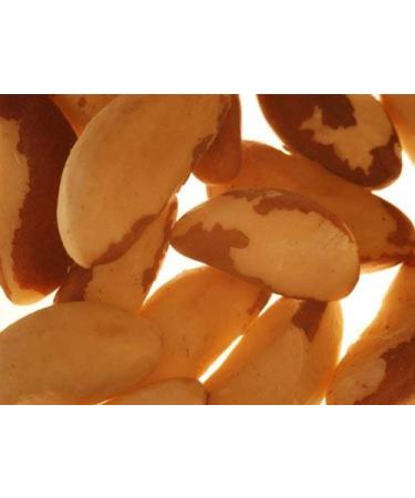Buy Organic Whole Brazil Nuts - Bremer Gew rzhandel 900g - Fresh & Shell-Free International Shipping - Buy Online on SooperMarket.com