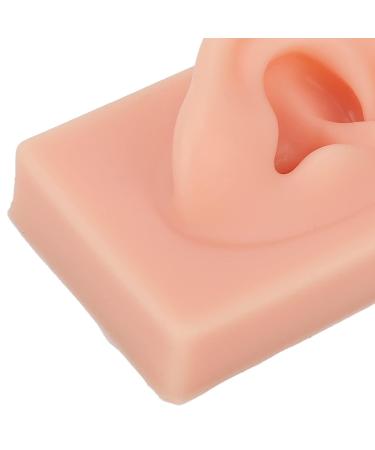 Soft & Flexible Reusable Human Ear Model - Simulated Right Ear for Acupuncture Training - Buy Online on SooperMarket.com