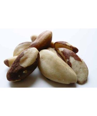 The Nutty Fruit House Raw Brazil Nuts (No Shell) 1LB Bag