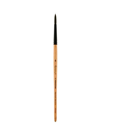 Princeton Catalyst Polytip  Brushes for Acrylic and Oil  Series 6450 Short Handle  Round  Size 6 Size 6 Round Round