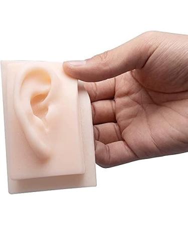Anatomical Model 1 Pair Human Ear Soft Silicone Model for Acupuncture Music Recording - Buy Online on SooperMarket.com
