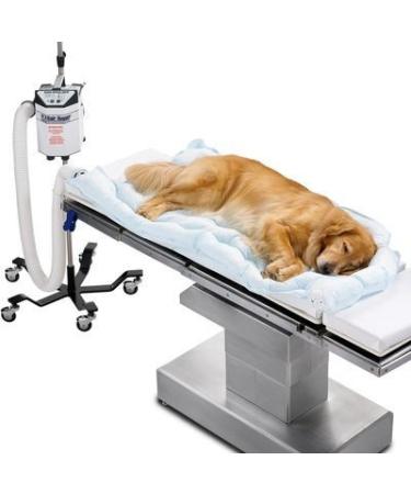 3M 55077 Bair Hugger Animal Health Blanket Underbody Long (Pack of 10)