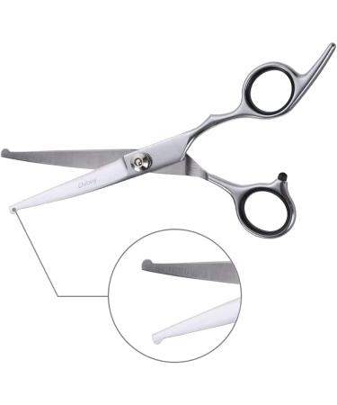 Chibuy Curved Pet Grooming Scissors with Round Tips - Professional 4CR Stainless Steel Shear for Dogs and Cats - Buy Online on SooperMarket.com