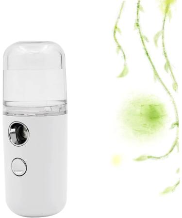 PLAFOPE 3 Pcs Atomizer Clipper Guard Holder Mist Sprayer Umidificador De Ar Sprayer Face Tool Portable White - Buy Online on SooperMarket.com