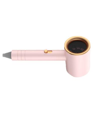 Hair Drier Professional Mute 360 Degree Rotatable Nozzle Hair Drier Fast Drying Folding Design ABS PP Portable Powerful Blow Dryer for Home Salon (with Blue Light) Pink With Blue Light