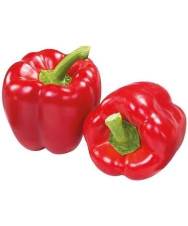 Seelans Paprica Red | 1KG | Red Capsicum | 100% Fresh Vegetable | Indian Origin | Next Day shipping - Buy Online on SooperMarket.com