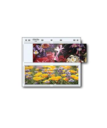 Print File Photo Pages Holds Four 3.5x10" Panorama Prints, Pack of 25