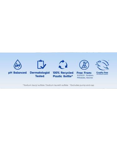 Dial Antibacterial Liquid Hand Soap Refill Spring Water 1.53L Blue - Buy Online on SooperMarket.com