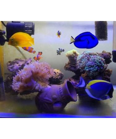 Orgmemory Ceramic Fish Tank Cave Decorations - 2 Pieces | Aquarium Accessories for Aquatic Animals - Buy Online on SooperMarket.com