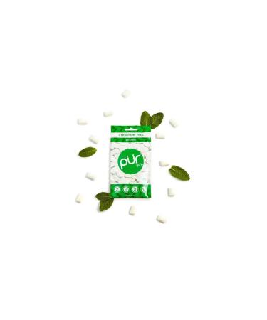 PUR Sugar Free Chewing Gum with Xylitol - Vegan, Keto & Gluten Free Spearmint Flavor, 55 Pieces - Buy Online on SooperMarket.com