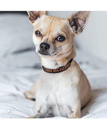 Buy Tagme Personalized Dog Collar for Small Dogs | Embroidered Reflective Nylon with Pet Name & Phone Number - Black XS (1 Pack) - Buy Online on SooperMarket.com