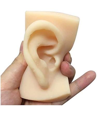 Artificial Human Pattern Silicone Ear - Silicone Simulation Ear for Micro Plastic Surgery Module Piercing Ear Piercing Teaching Demonstration - Buy Online on SooperMarket.com