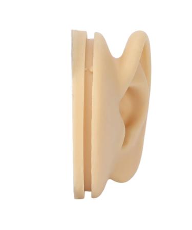 Human Ear Model Left Ear Soft Lifelike Fake Ear Model for Teaching Demonstration - Buy Online on SooperMarket.com