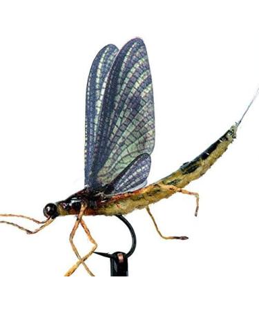 Hemingway's Realistic May Fly Wings Set - Gray | High-Quality Fly Tying Materials - Buy Online on SooperMarket.com