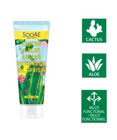 Shop Soo AE Cactus & Aloe Low pH Soothing Gel 7.05 oz - Cooling Aloe Vera Gel for Face & Body | International Shipping Available - Buy Online on SooperMarket.com