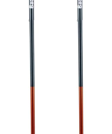 Backcountry Access Scepter 4S - Lightweight and Durable Snow Shovel - Buy Online on SooperMarket.com